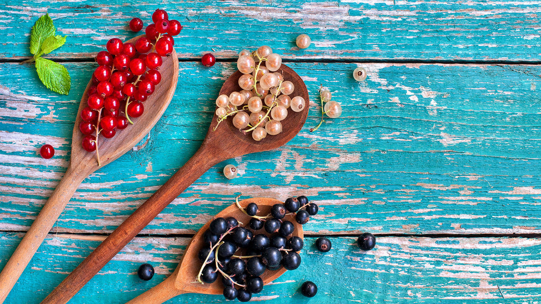 Johannisbeeren Sorten auf Holzlöffeln